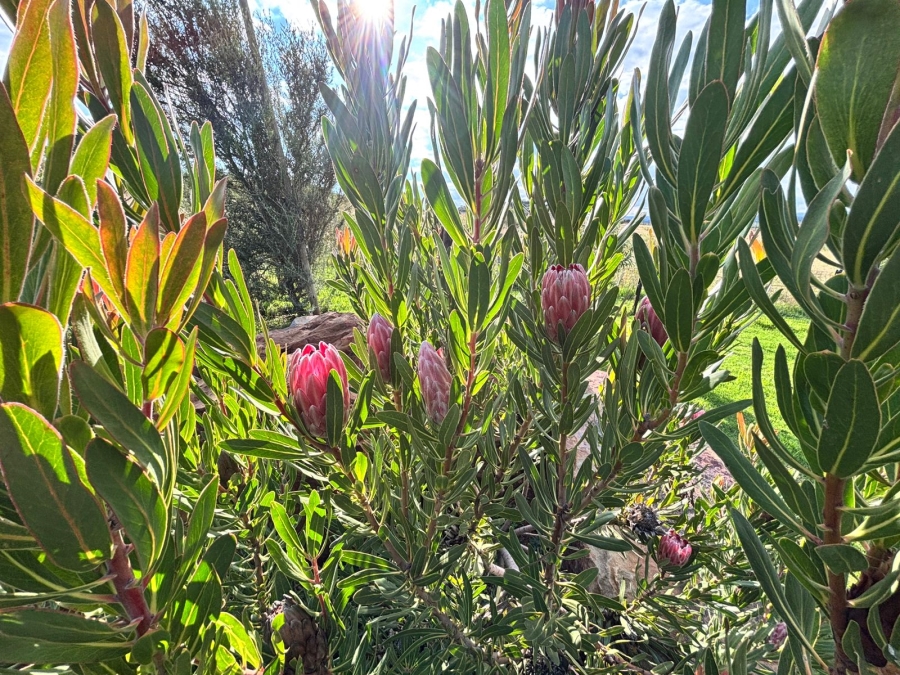 0 Bedroom Property for Sale in Helderzicht Eco Estate North West